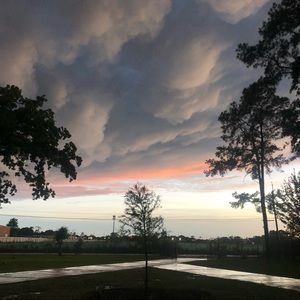 Meet your Posher, Leslie